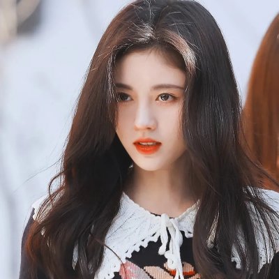 仙人掌花